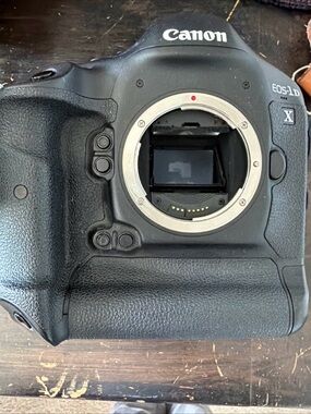 Canon EOS-1D X Mark I with Sigma DG 120-400